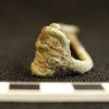 Iron Age brooch